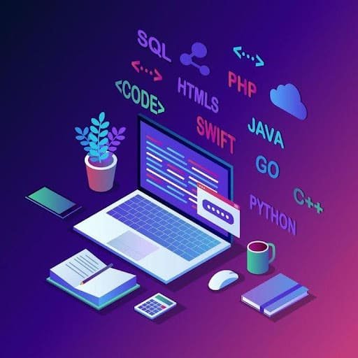 Top Programming Languages to Learn in 2026