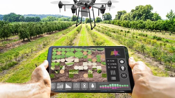 Machine Learning in Agriculture: Smart Farming and Crop Prediction