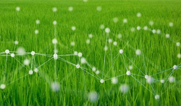 Artificial Neural Networks in Smart Agriculture